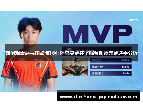 如何观看乒乓球欧洲16强杯总决赛并了解赛制及参赛选手分析