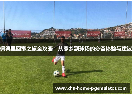 佩德里回家之旅全攻略：从家乡到球场的必备体验与建议