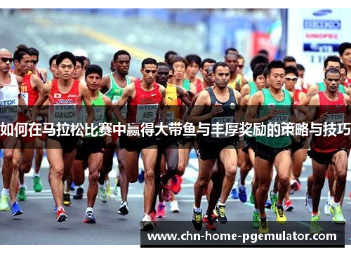 如何在马拉松比赛中赢得大带鱼与丰厚奖励的策略与技巧