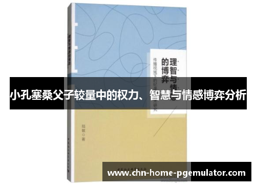 小孔塞桑父子较量中的权力、智慧与情感博弈分析
