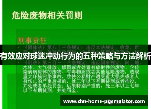 有效应对球迷冲动行为的五种策略与方法解析