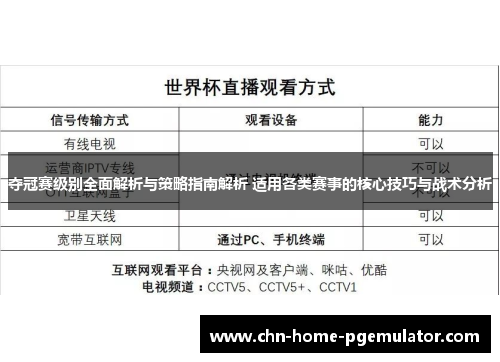 夺冠赛级别全面解析与策略指南解析 适用各类赛事的核心技巧与战术分析
