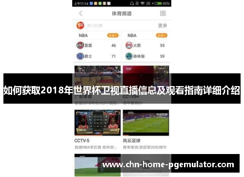 如何获取2018年世界杯卫视直播信息及观看指南详细介绍