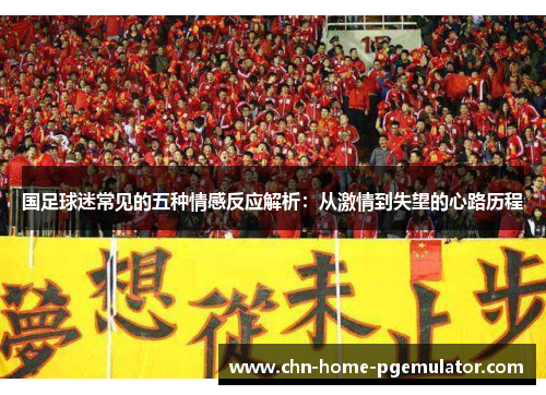 国足球迷常见的五种情感反应解析：从激情到失望的心路历程