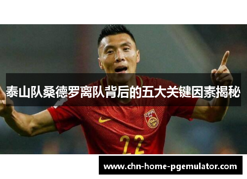 泰山队桑德罗离队背后的五大关键因素揭秘