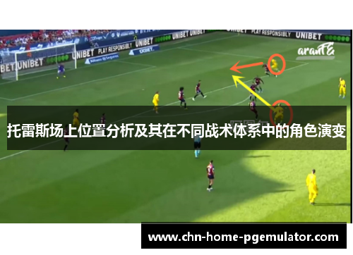 托雷斯场上位置分析及其在不同战术体系中的角色演变