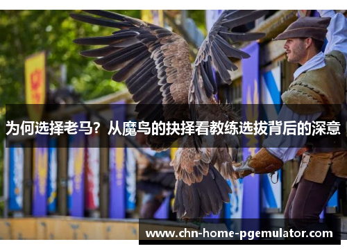 为何选择老马？从魔鸟的抉择看教练选拔背后的深意