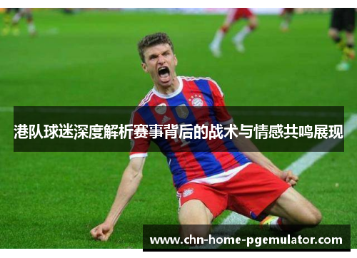 港队球迷深度解析赛事背后的战术与情感共鸣展现
