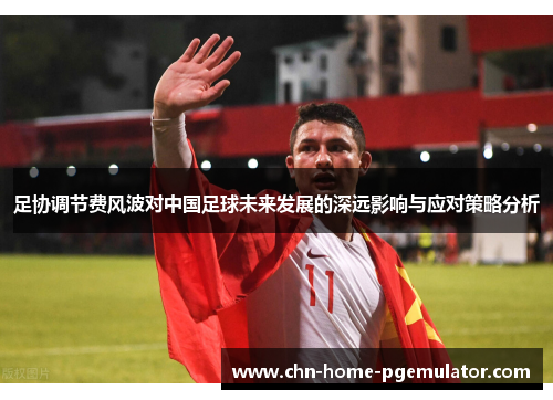 足协调节费风波对中国足球未来发展的深远影响与应对策略分析 足协调节费风波对中国足球未来发展的深远影响与应对策略分析