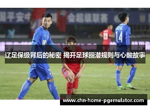 辽足保级背后的秘密 揭开足球圈潜规则与心酸故事