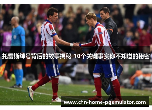 托雷斯绰号背后的故事揭秘 10个关键事实你不知道的秘密