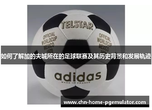 如何了解加的夫城所在的足球联赛及其历史背景和发展轨迹 如何了解加的夫城所在的足球联赛及其历史背景和发展轨迹