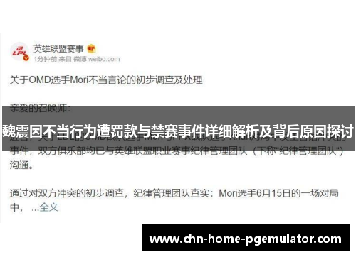 魏震因不当行为遭罚款与禁赛事件详细解析及背后原因探讨