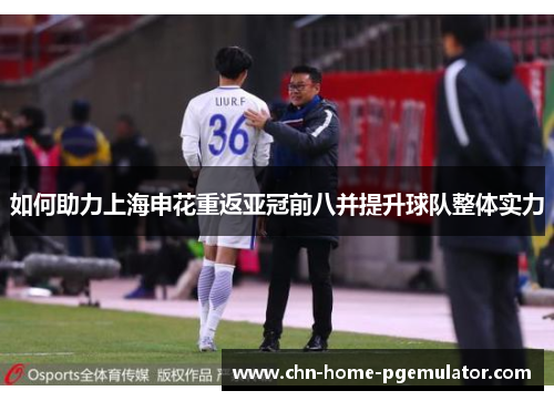 如何助力上海申花重返亚冠前八并提升球队整体实力