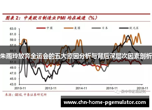 朱雨玲放弃全运会的五大原因分析与背后深层次因素剖析