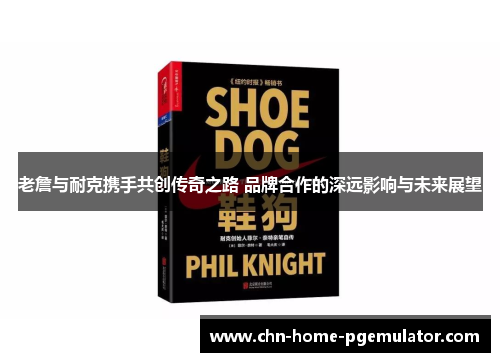 老詹与耐克携手共创传奇之路 品牌合作的深远影响与未来展望
