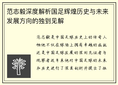 范志毅深度解析国足辉煌历史与未来发展方向的独到见解